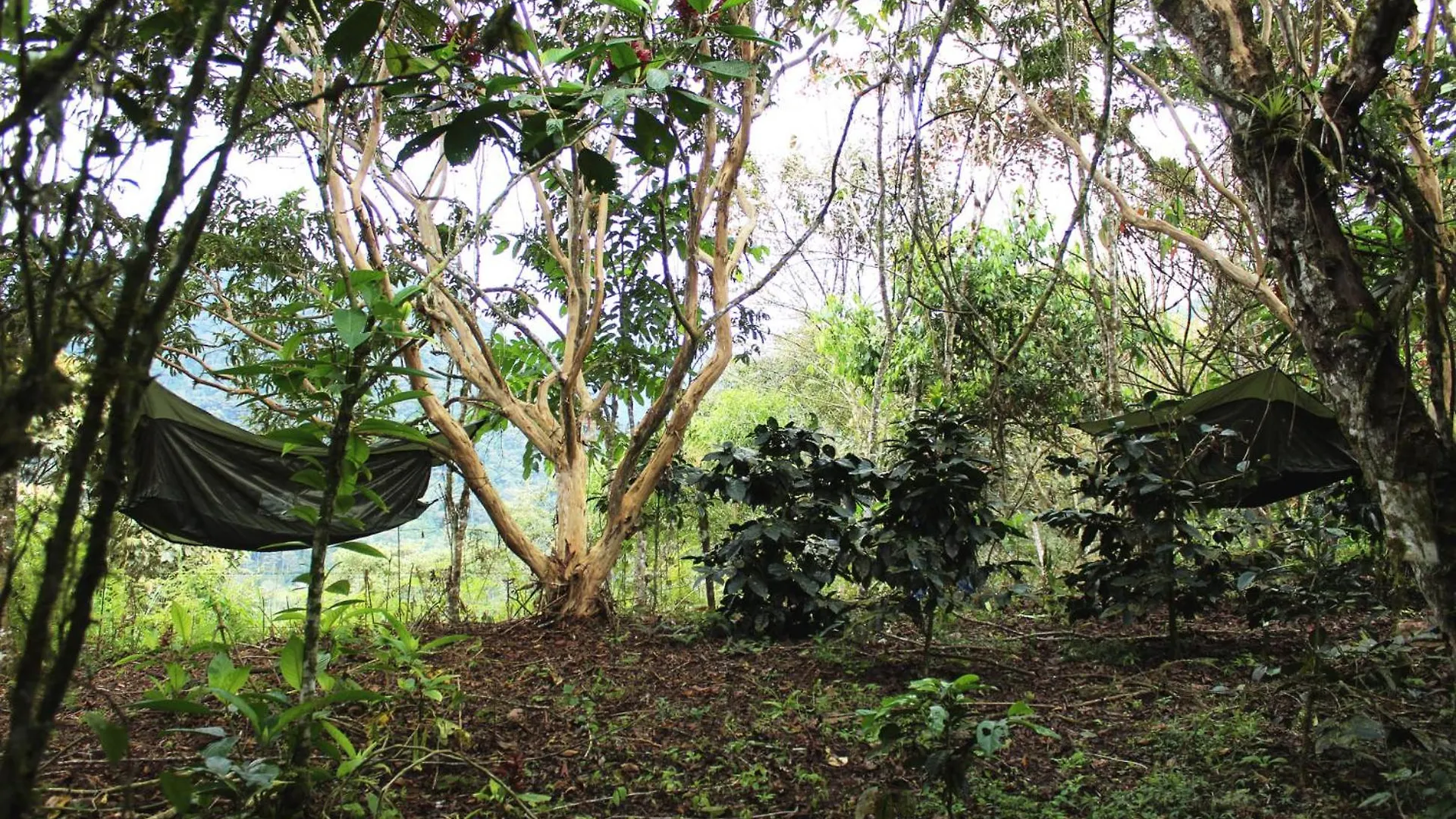 Сasa de vacaciones Bosque Secreto - Private Cabin And Camping Villa Quito