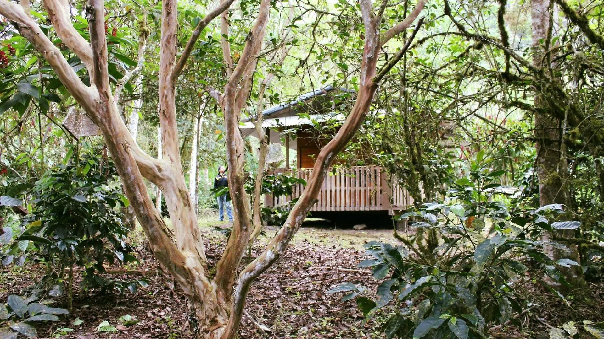 Сasa de vacaciones Bosque Secreto - Private Cabin And Camping Villa Quito Ecuador